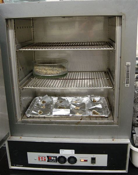 The Complete Guide to Drying Ovens: Essential Equipment for 